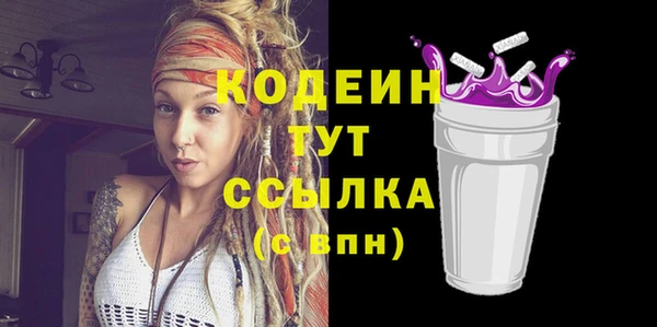 стаф Няндома