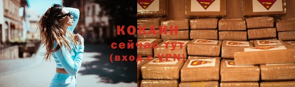 стаф Няндома