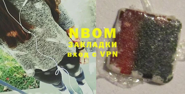 стаф Няндома