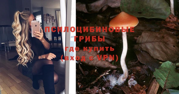 ГАЛЛЮЦИНОГЕННЫЕ ГРИБЫ Новодвинск