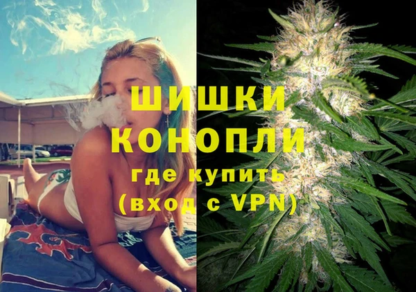 стаф Няндома