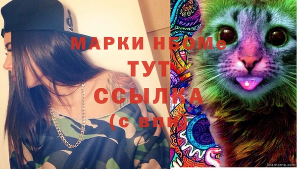 стаф Няндома