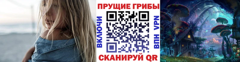 купить наркотики сайты  Олонец  Галлюциногенные грибы мицелий 